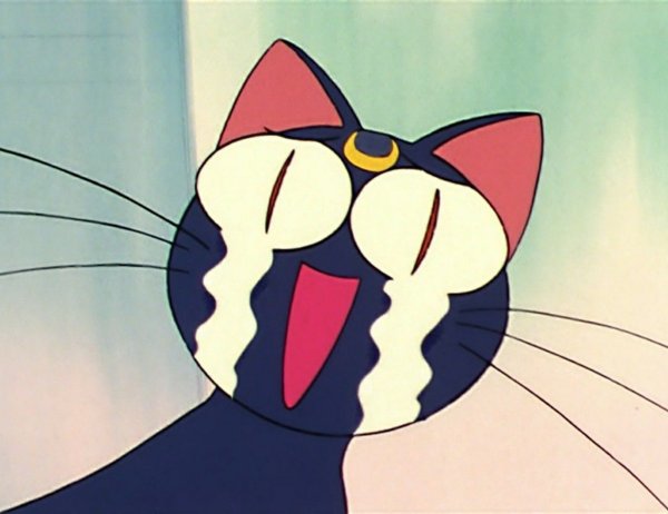 Кошка Луна из Сейлор Мун