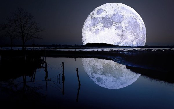 Шутки про полнолуние