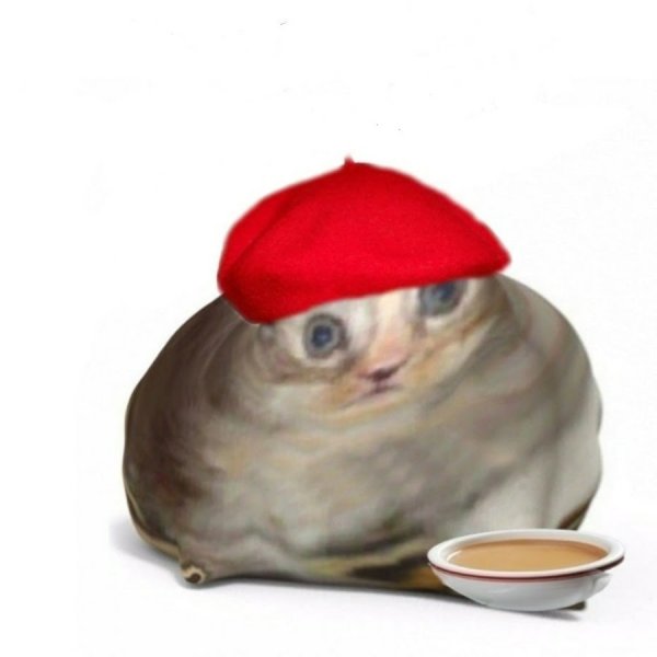Кот француз Мем