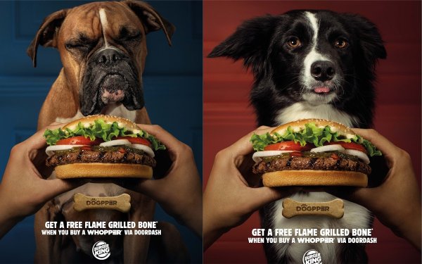 Burger King еда для собак