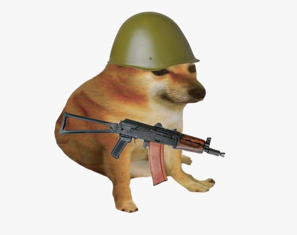 Собака в военной форме на белом фоне