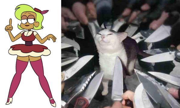 Кот с ножами вокруг