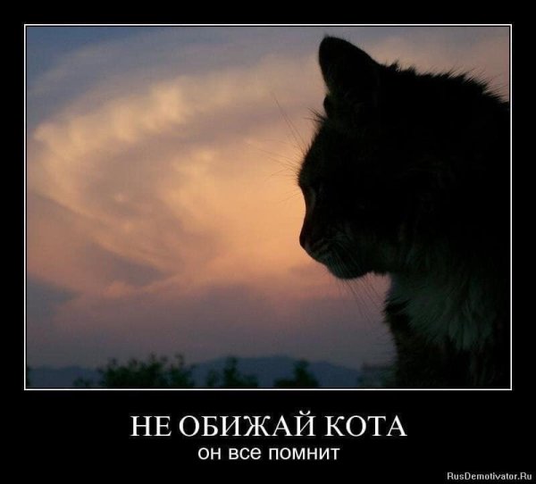 Обиделся демотиватор