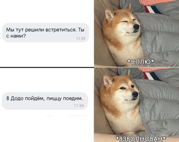 Сиба ину Мем