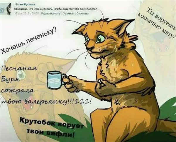 Коты Воители приколы анекдоты