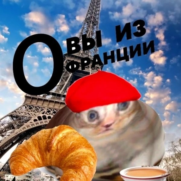 О вы из Франции Мем с котом