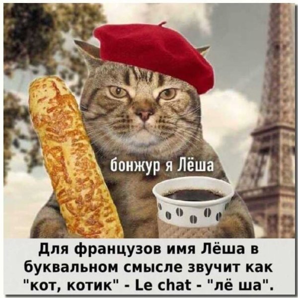 Бонжур я Леша