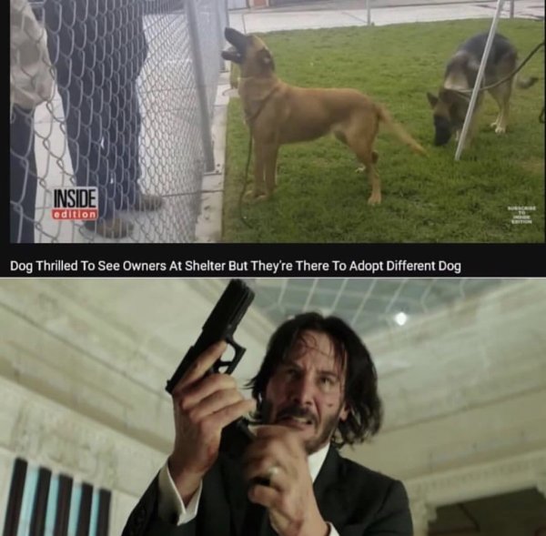 Джон уик мемы