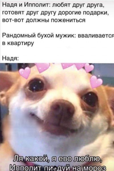 Собака улыбается