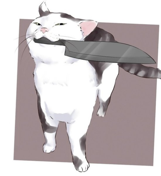 Кот с ножом Мем