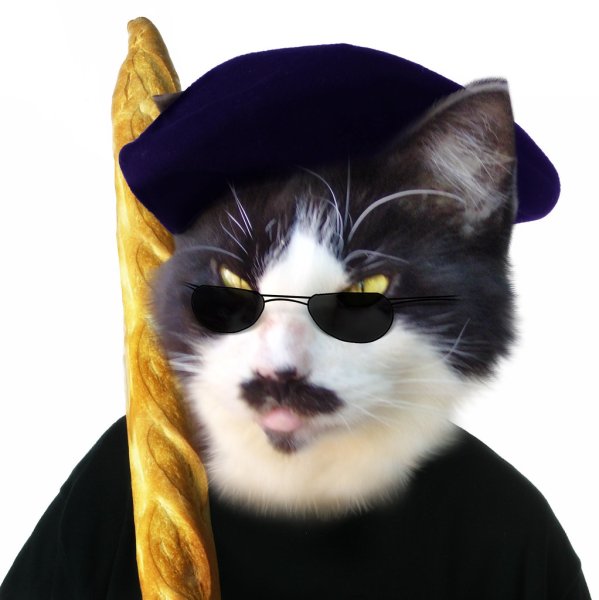 Кот француз