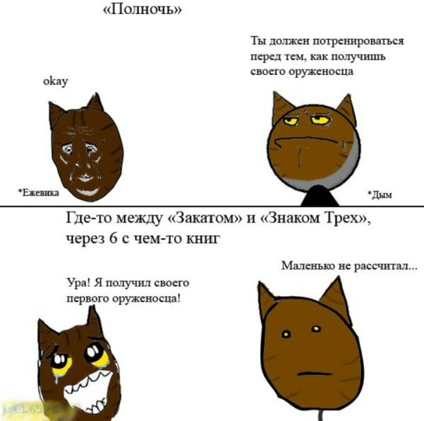 Шутки про котов воителей