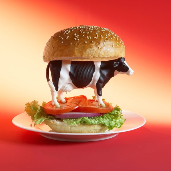 Корова и гамбургер