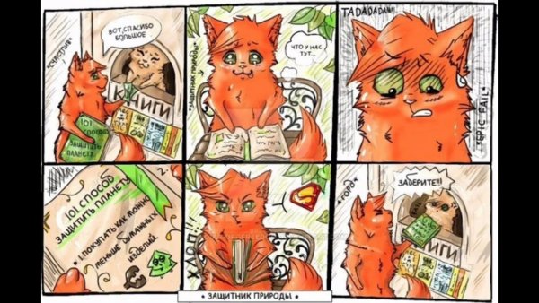 Приколы с котами воителями