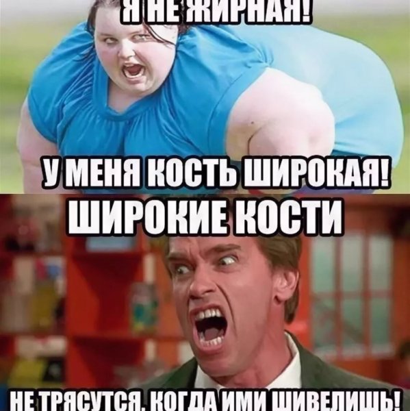 Про жирных собак