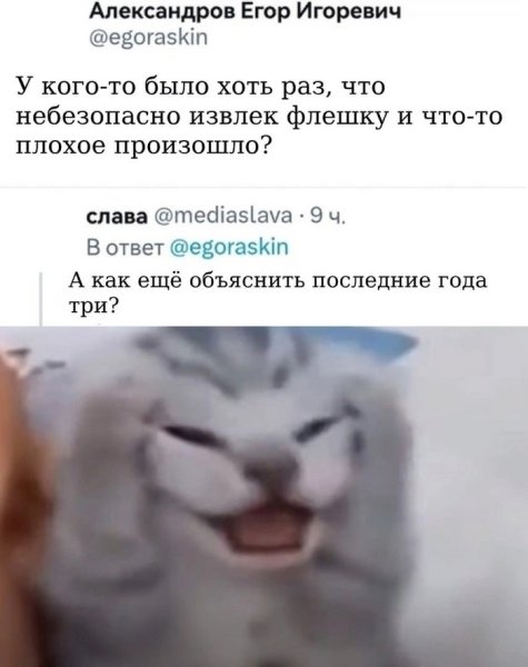 Кот хватается за голову