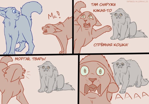 Коты Воители мемы