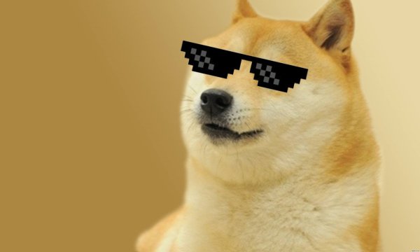Шиба ину Doge
