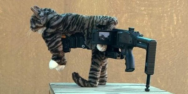 Автомат из кота