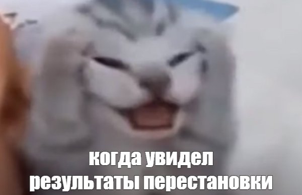 Котенок мяукает