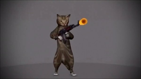 Кот с автоматом гифка