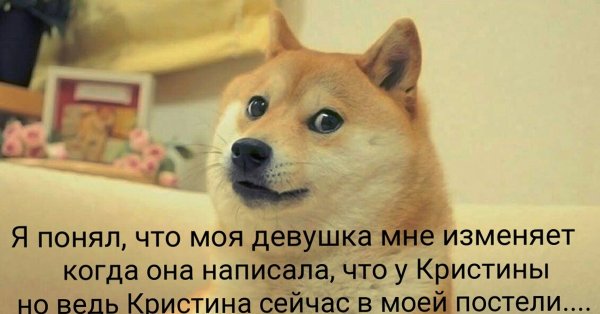 Мем собака обсудить подружку