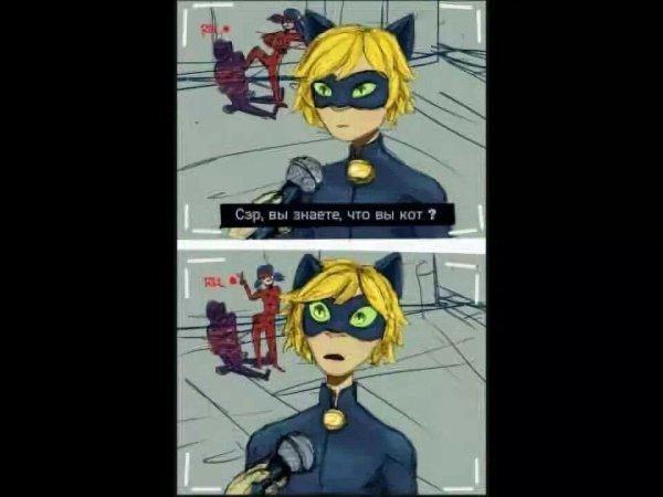 Леди баг и супер кот приколы без мата