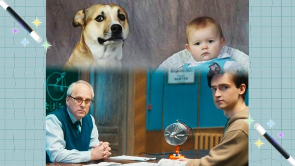 Мем собака и ребенок