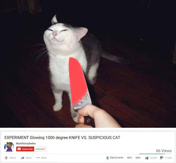 Кот с ножом