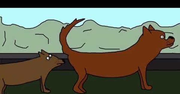 Собака нюхает камеру Мем