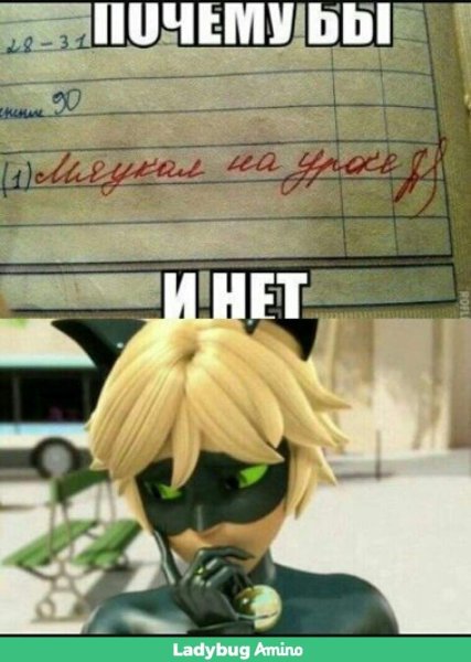 Леди баг и супер-кот