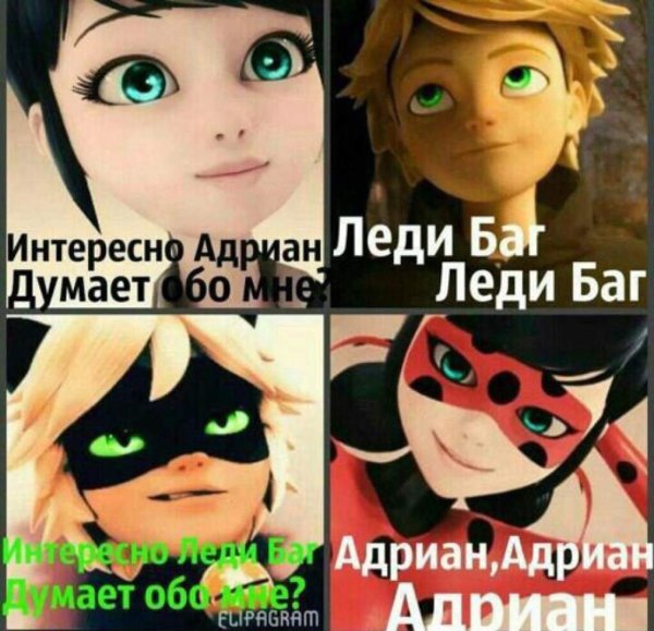 Мемы леди баг и супер кот