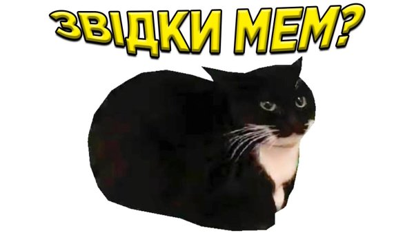 Коты мемы Maxwell