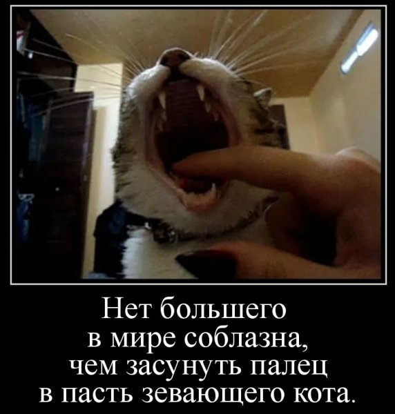 Шутки про зевоту