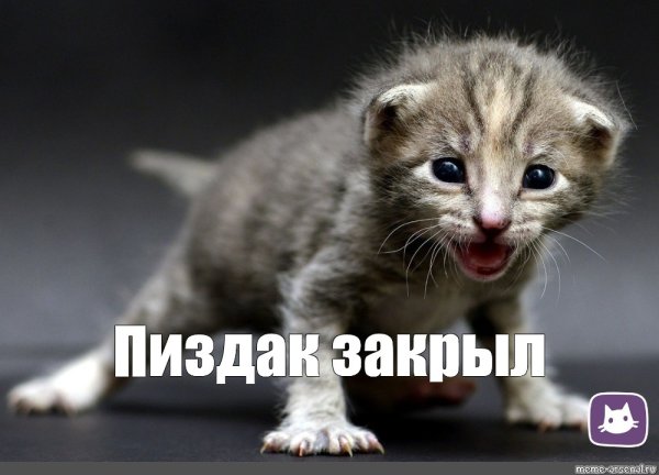 Закрой пиздак