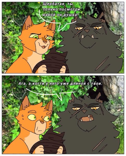 Коты Воители мемы