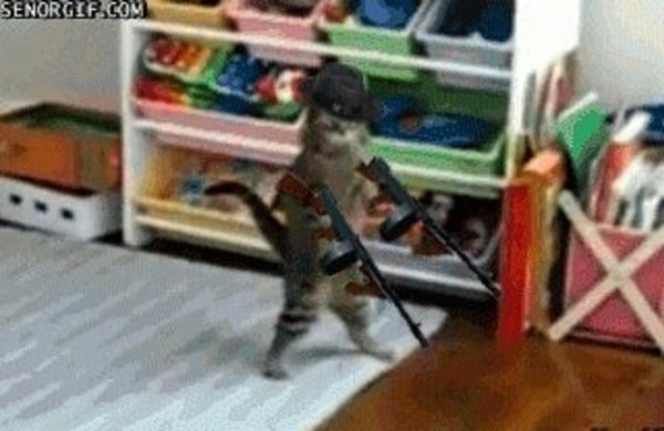 Кот с автоматом гиф
