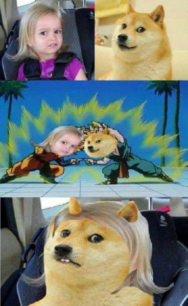 Мемчики с собаками