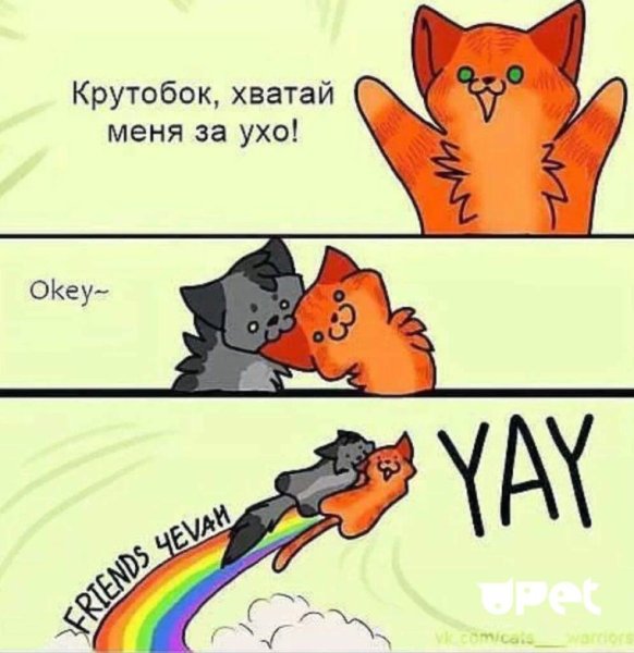 Коты Воители Огнезвёзд