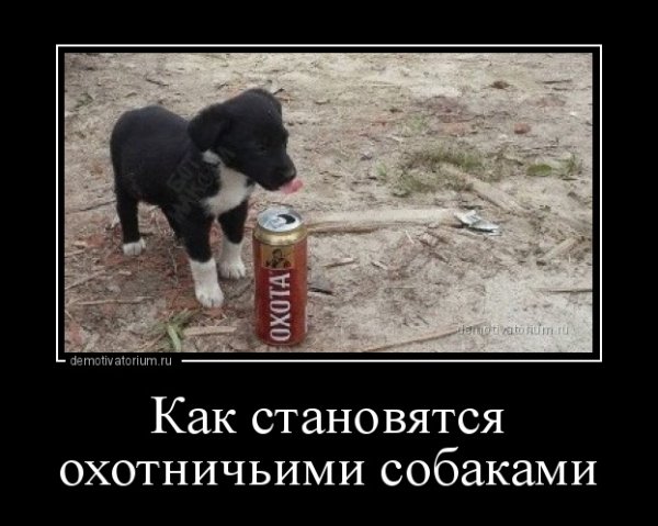 Охота крепкое мемы