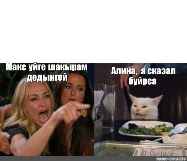 Плакат с котом Максом мемом