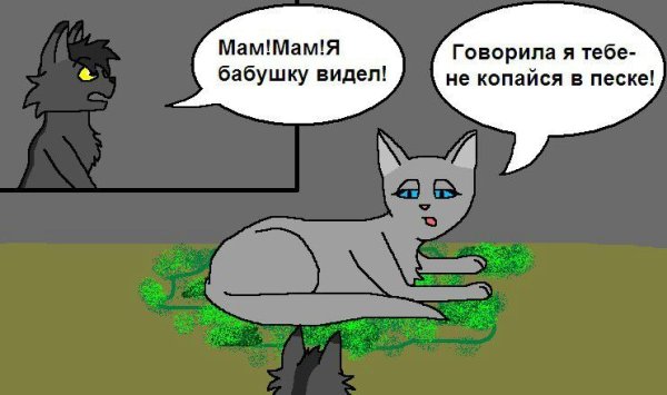 Коты Воители приколы