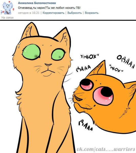 Коты Воители смешные комиксы