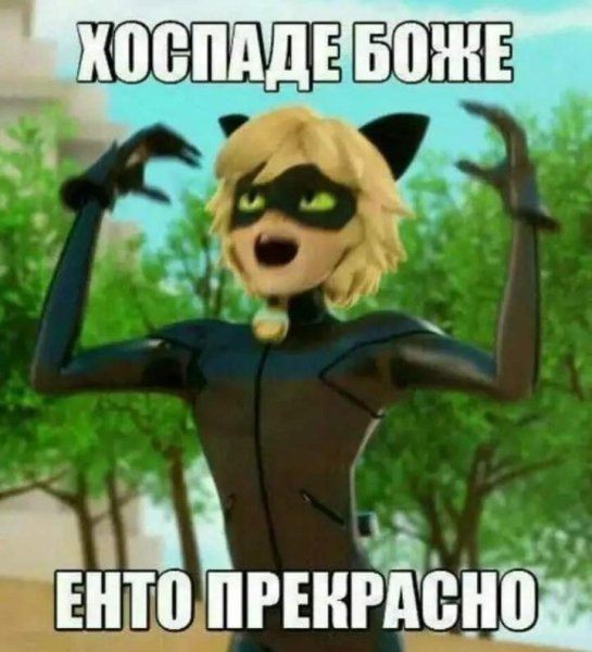 Мемы леди баг и супер кот