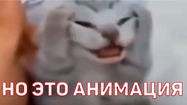 Кот кричит