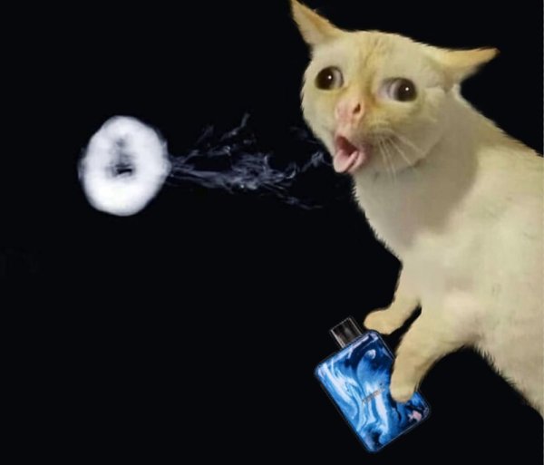 Котик с ВЕЙПОМ