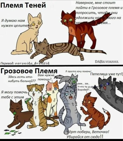 Комиксы про котов воителей приколы