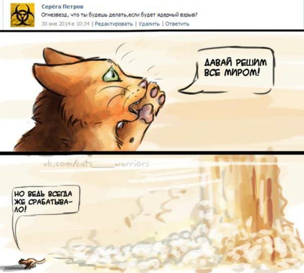 Коты Воители приколы