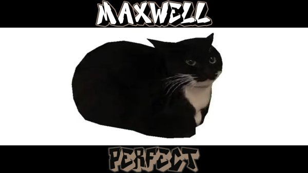 Картина Maxwell Cat