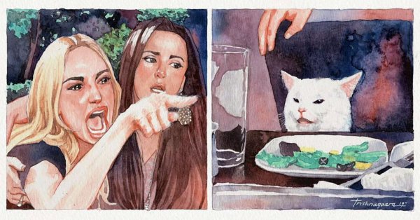 Мем с женщиной и котом